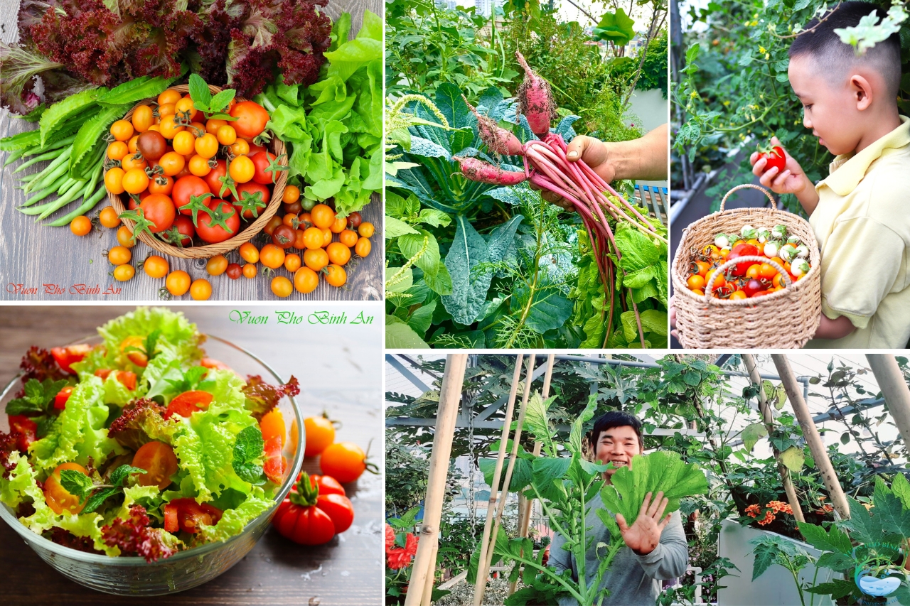 Huong-dan-lam-vuon-huu-co-san-thuong-dep Huong-dan-lam-vuon-huu-co-san-thuong-dep-ha-noi