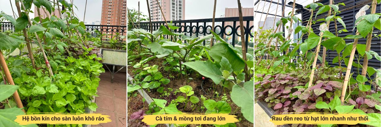 Vuon-san-thuong-dep-ho-tay