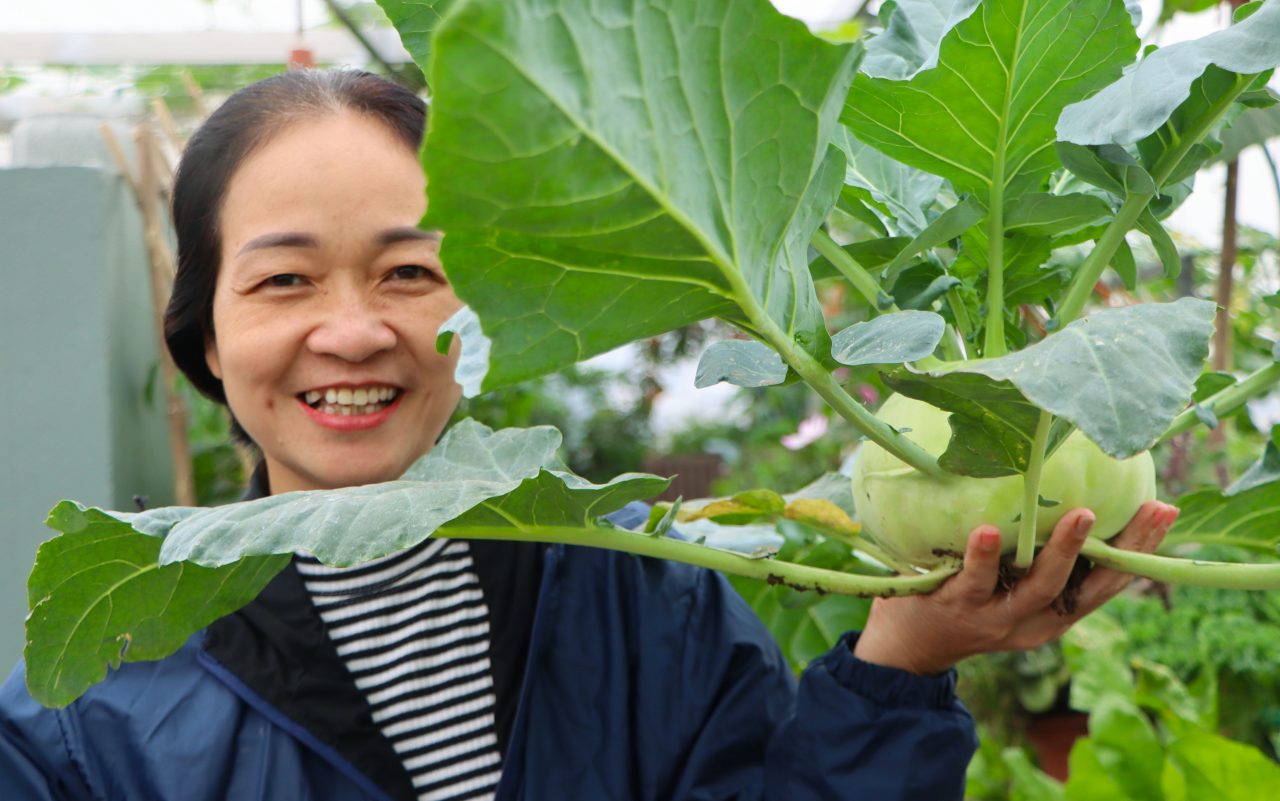 su-hao-san-thuong