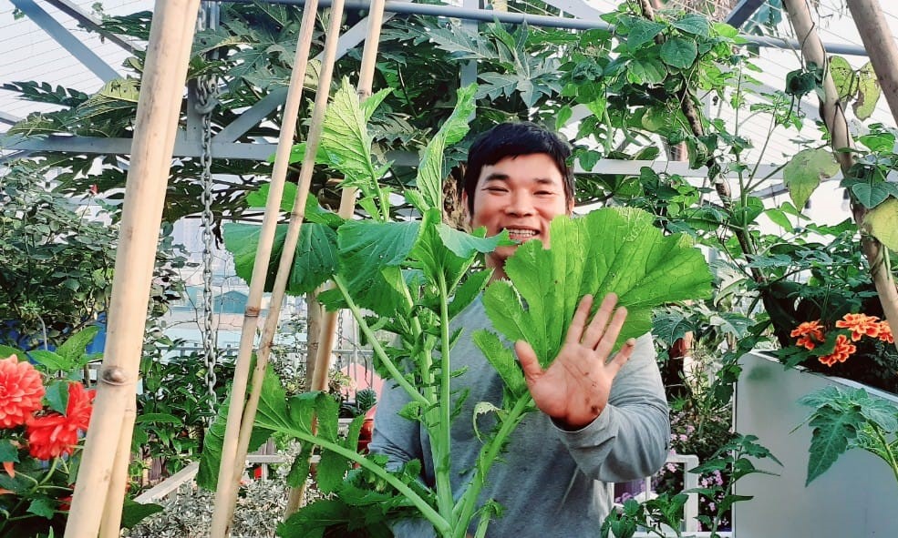 vuon-pho-binh-an-uoc-mo-dem-vuon-ra-pho